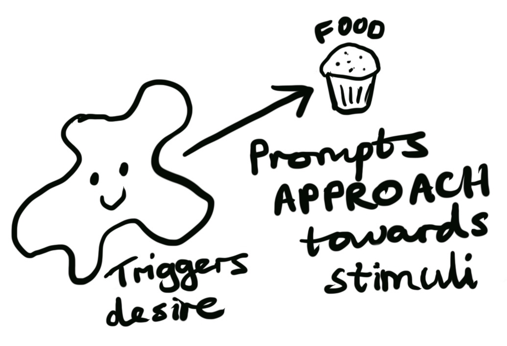 food triggers desire which prompts approach